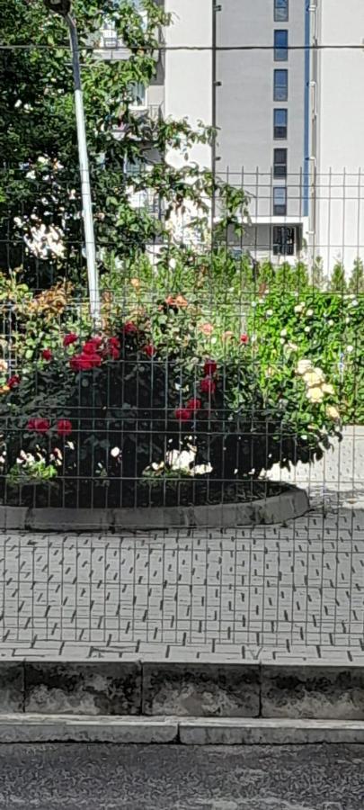 Coresi, 2 Camere, Sleeps 6 Large Private Garden Apartment Pets Welcome Брашов Экстерьер фото