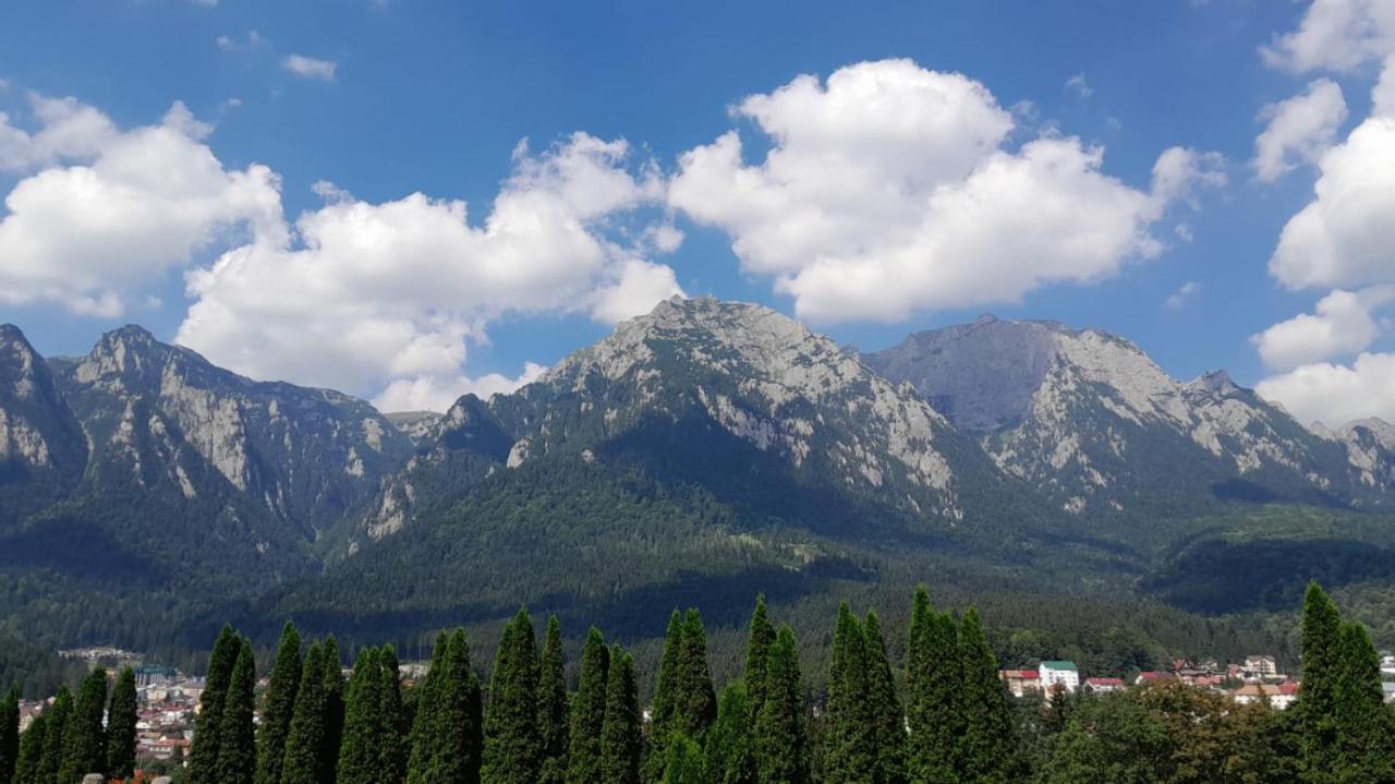 Coresi, 2 Camere, Sleeps 6 Large Private Garden Apartment Pets Welcome Брашов Экстерьер фото